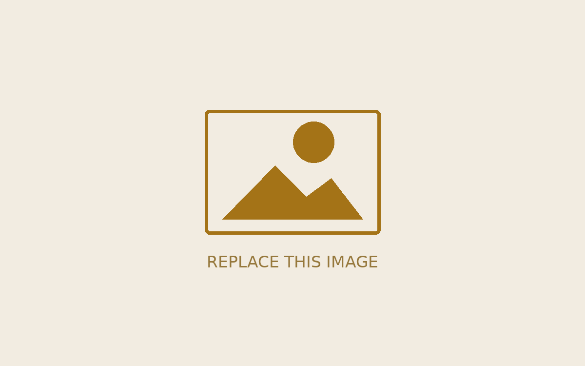Partner logo - replace